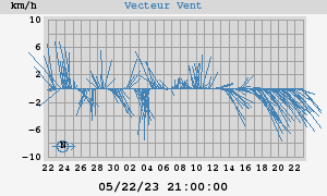 Wind Vector